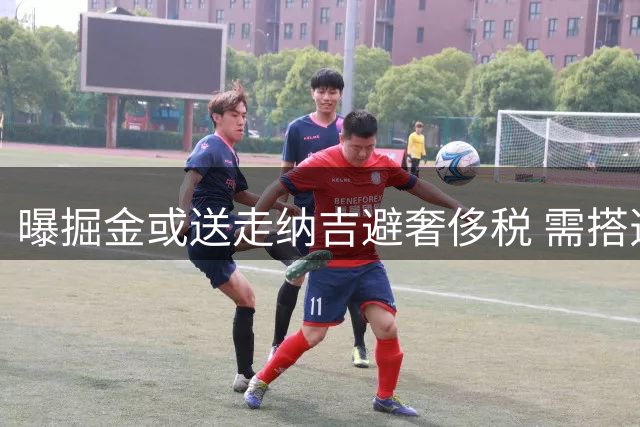 曝掘金或送走纳吉避奢侈税 需搭选秀权处理两年合同