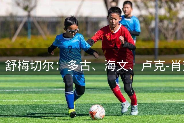 舒梅切尔：多古、海文、卢克-肖对失球都有责任，这让我失望